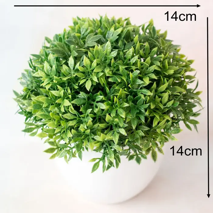 Arbre vert Élenrichi Monstera, enge persane, plantes d'eucalyptus, bonsaï, accessoires pour la maiso