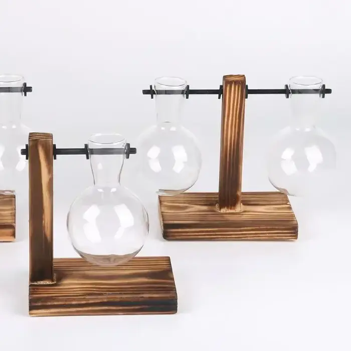 Plante hydroponique Terrarium Vasevase décoration maison bouteille en verre