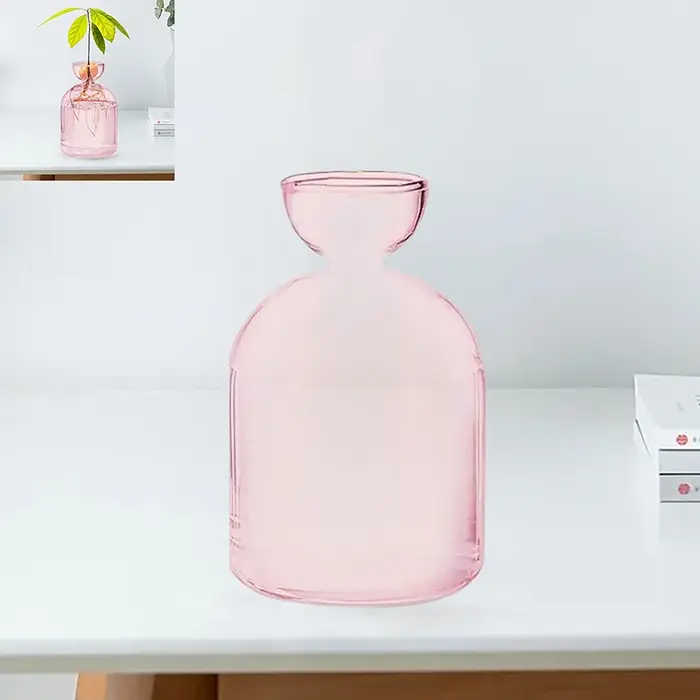 Vase hydroponique Transparent coloré d'avocat, Vase de démarrage de graines d'avocat en verre, Kit d