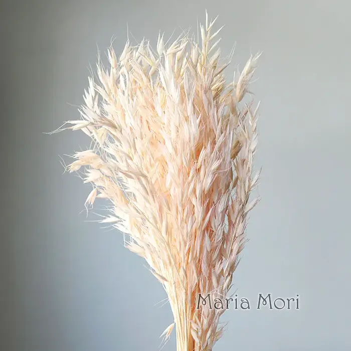 25 pièces/Fleurs naturelles conservées à sec rustique mariage bricolage Bouquets d'avoine Bouquet de