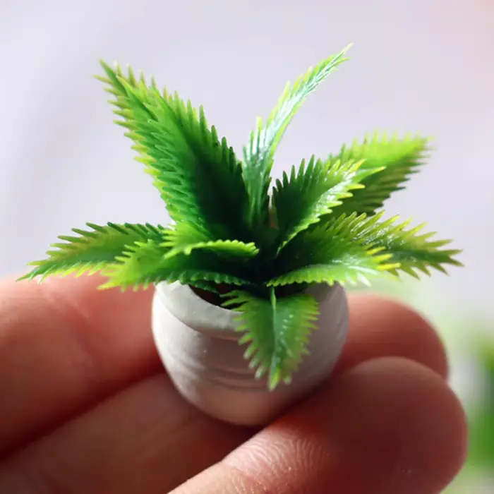 Mini plante verte en pot