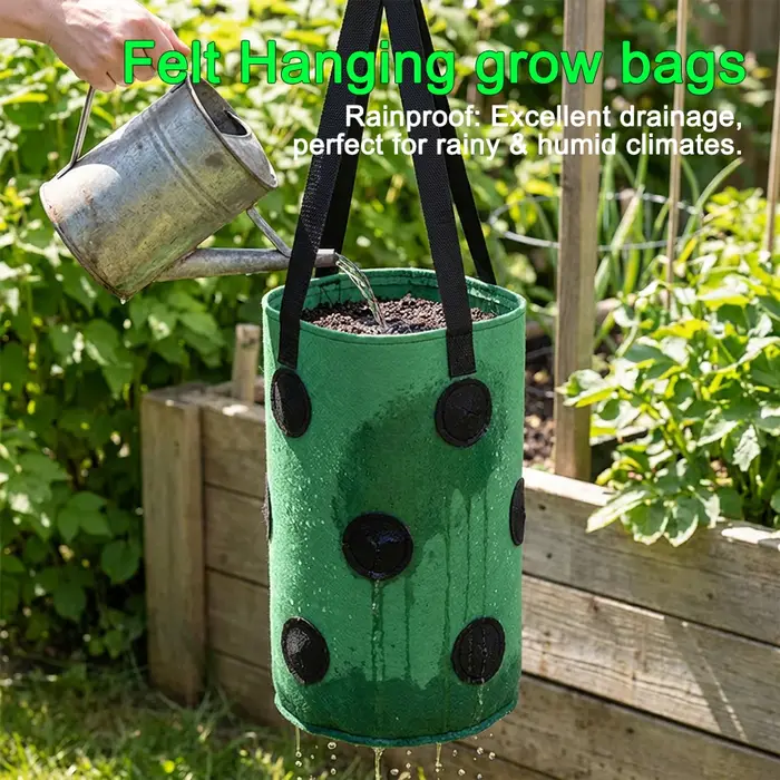 Sacs de culture suspendus pour fraises et tomates