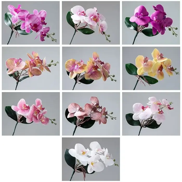Orchidées Phalaenopsis artificielles réalistes en tissu