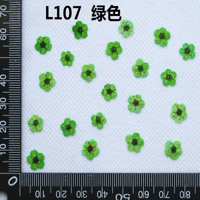 250 pièces Mini pressé séché Narcisse Jonquilla fleur plante herbier pour résine époxy bijoux signet carte postale Nailart bricolage