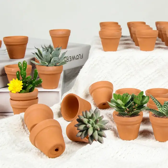 Mini jardinières en terre cuite de 1.3 pouces