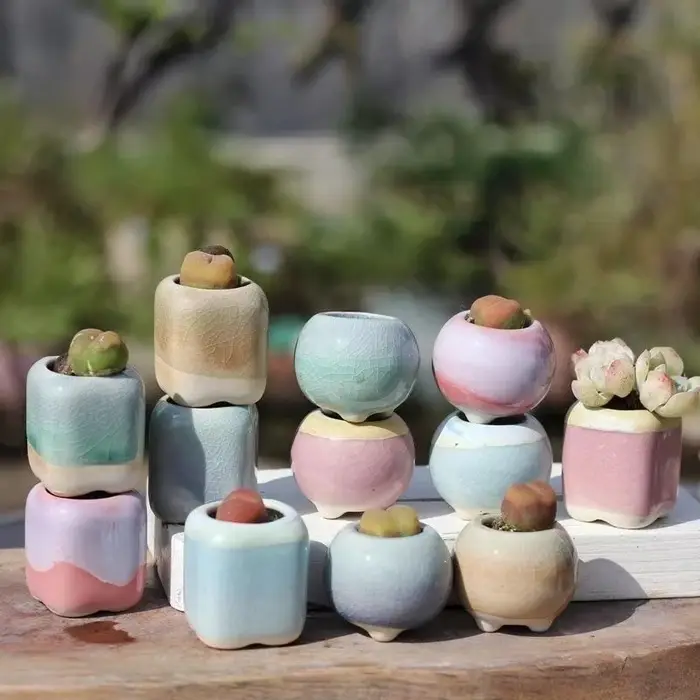 6 pièces Mini pot de fleurs succulentes petite plante succulente céramique Pots