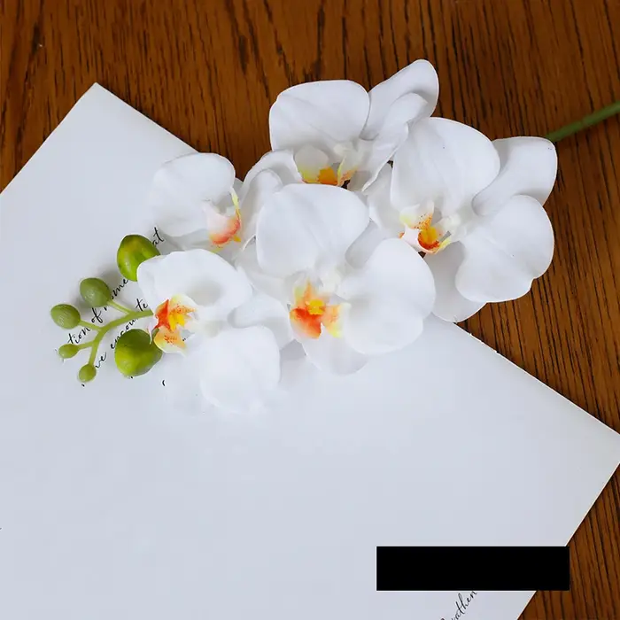 Orchidée papillon au toucher réel, fleur artificielle, toucher hydratant, Phalaenopsis, décoration d
