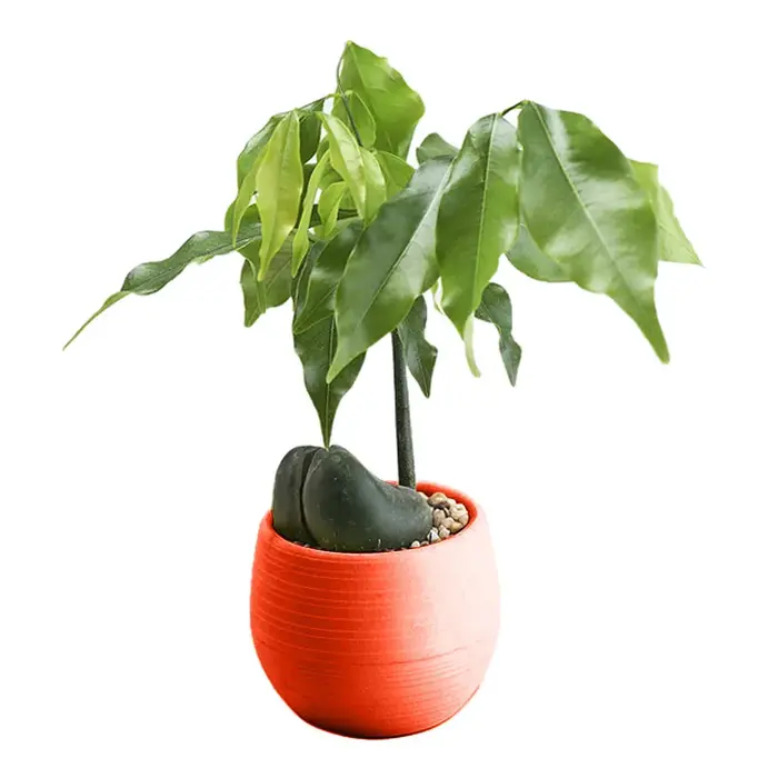 Mini pot de fleurs rond en plastique écologique