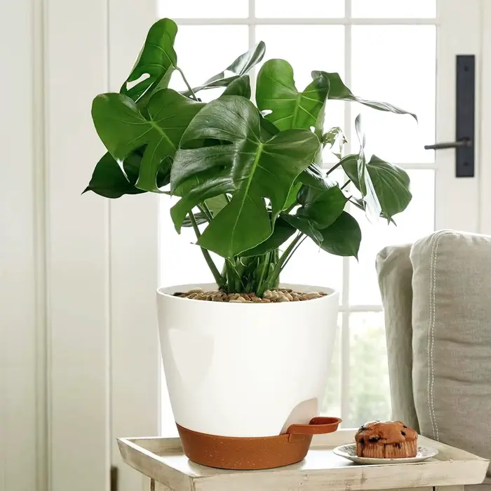 Pot de fleurs décoratif d'intérieur avec trou de drainage