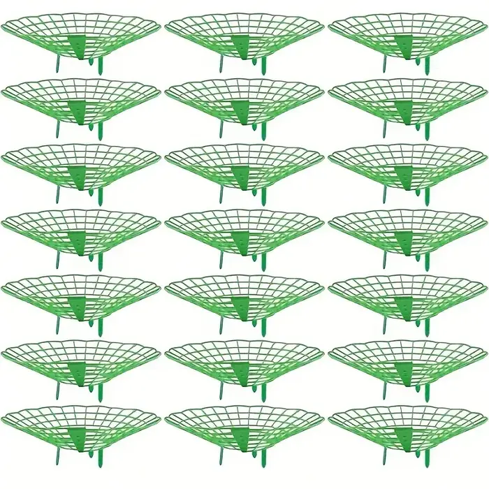 Supports de plantation de fraises vertes