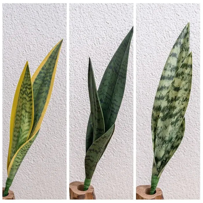 Plante serpent artificielle