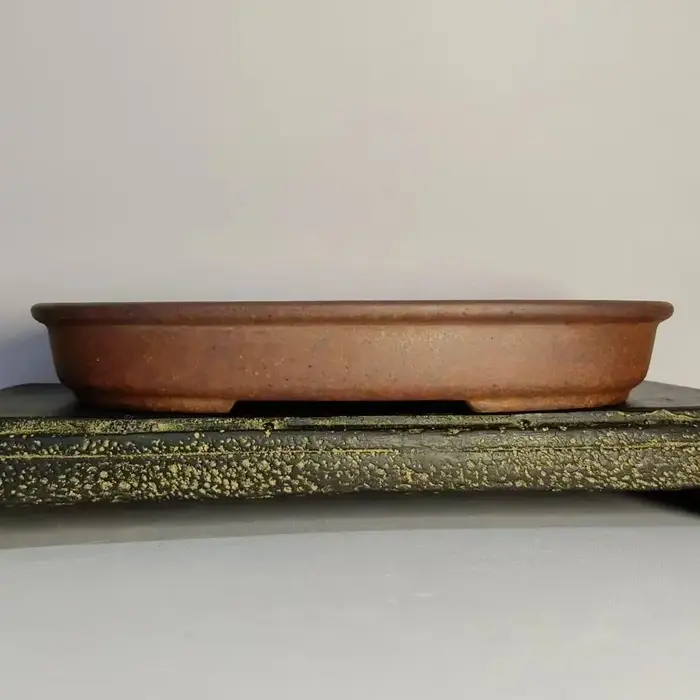 Pot de fleur peu profond non émaillé de forme ovale