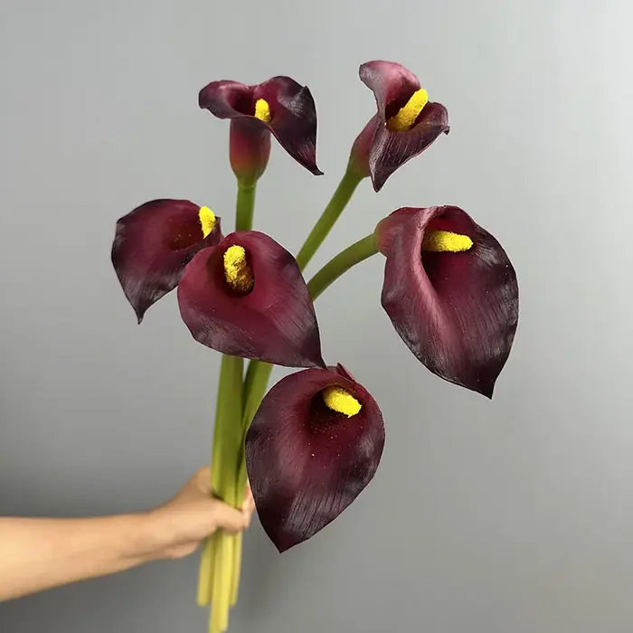5/6 pièces de fleurs artificielles en PU au toucher réel, type Calla Lily, pour décoration de restaurant, simulation de petites fleurs artificielles violettes de type Taro de mer