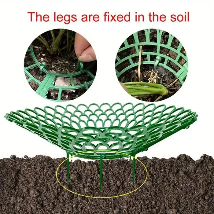 Supports de plantes de fraises à 3 pieds robustes