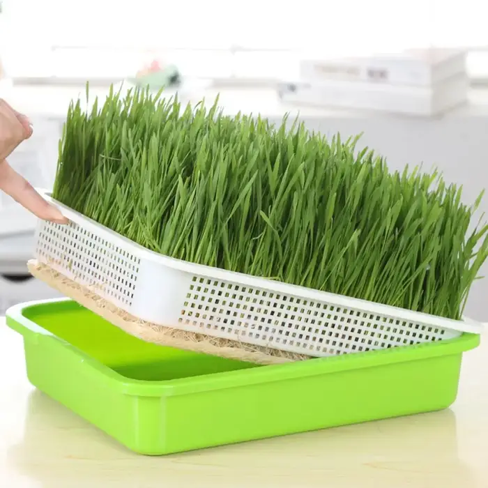 Fournitures de jardinage