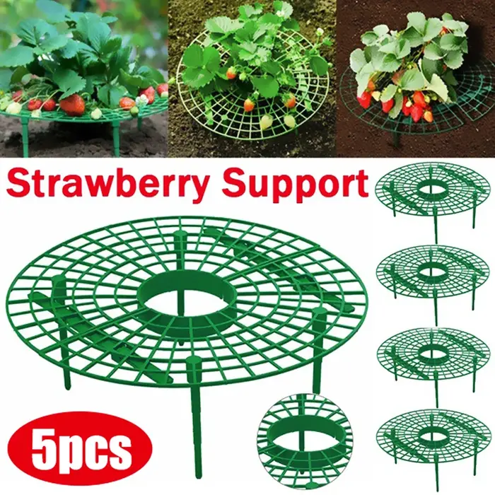 Supports de fraises pour conserver les plantes et les fruits