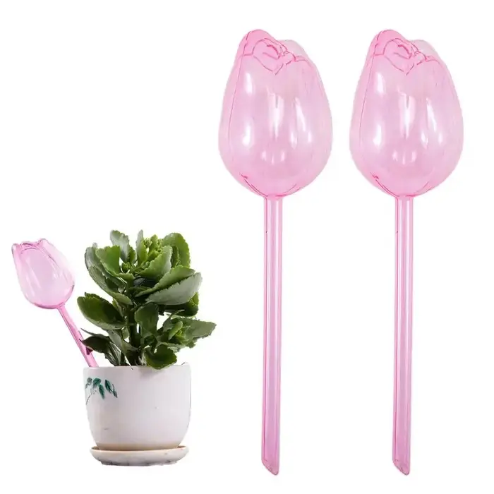 Self-watering Plant Bulbs Tulip