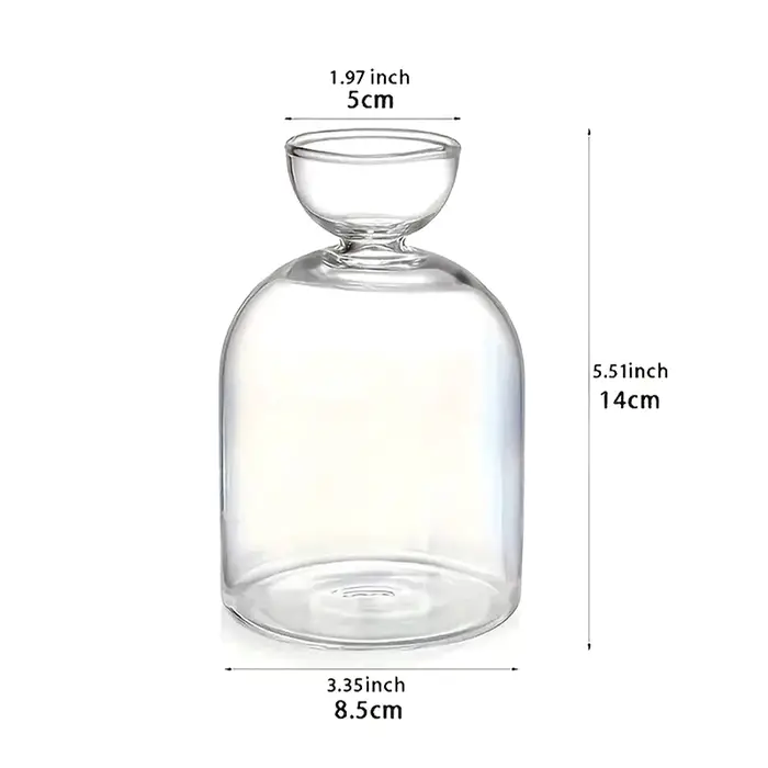 Vase de démarrage de graines d'avocat, Vase en verre Transparent pour plantes en croissance, Kit de