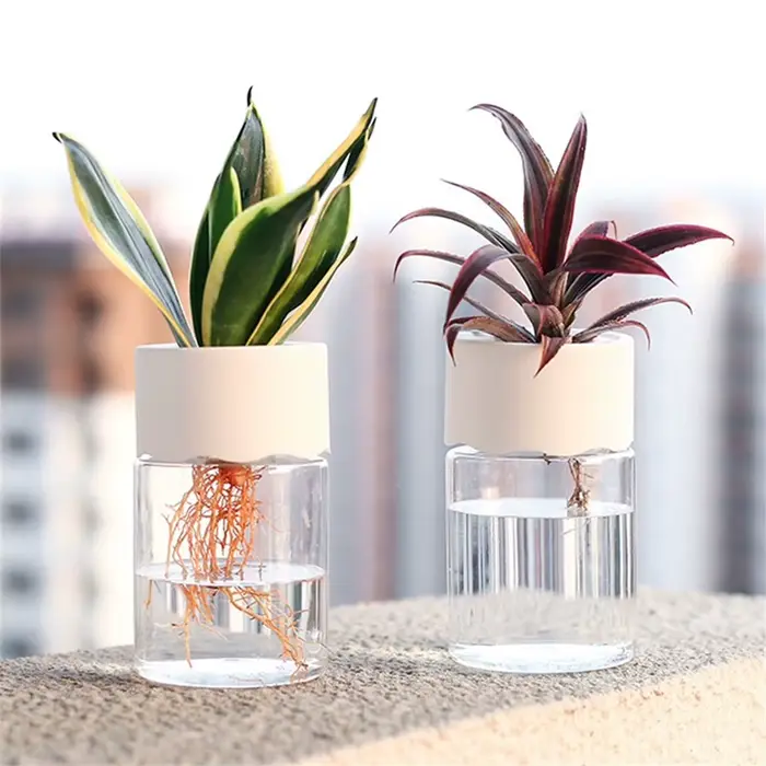 Mini Pot de fleur hydroponique, Vase décoratif pour la maison, Imitation verre Transparent, Pots de 