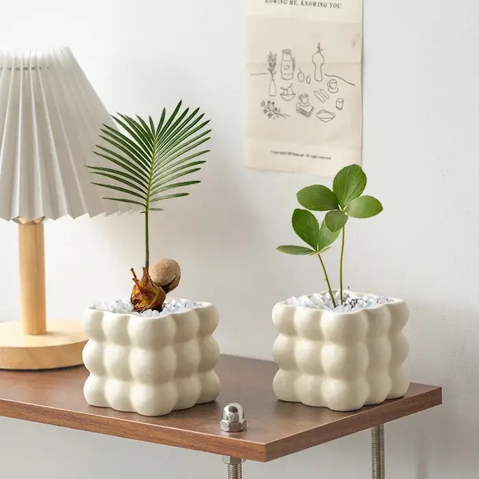 Vases à fleurs de dessin animé en forme de Koala