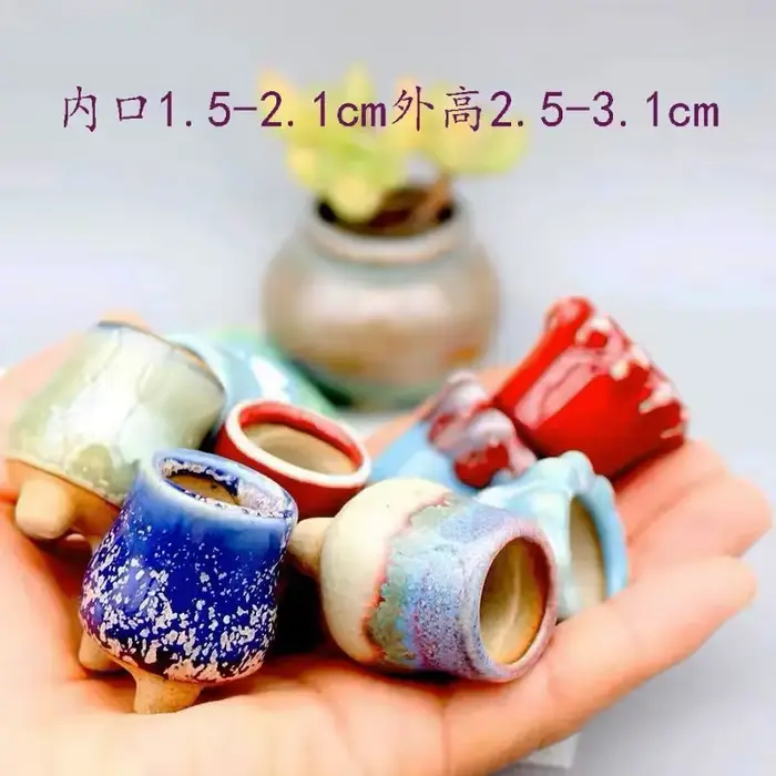 Mini pot de fleurs charnu semi-glaçure avec trou