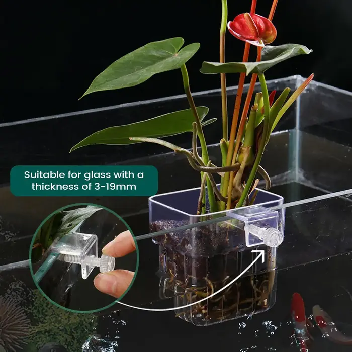Pot de culture suspendu transparent pour plantes d'aquarium