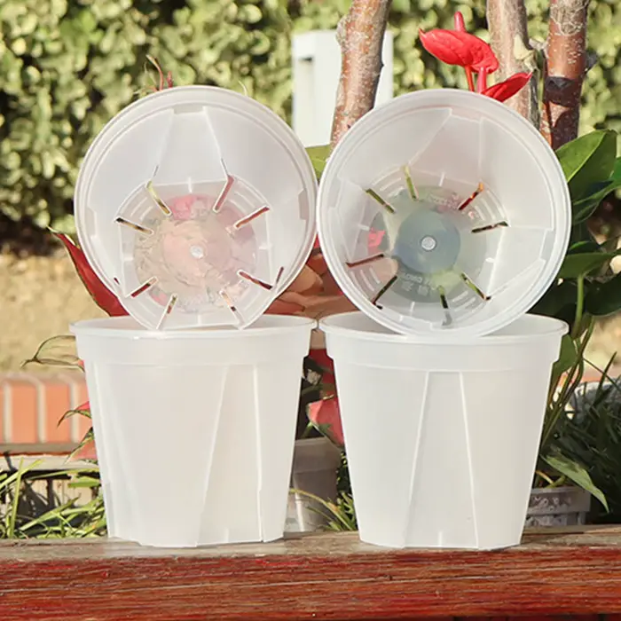 Pots d'orchidées en plastique transparent avec trous