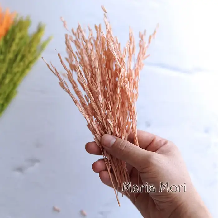 Fleurs naturelles séchées teintes en maïs
