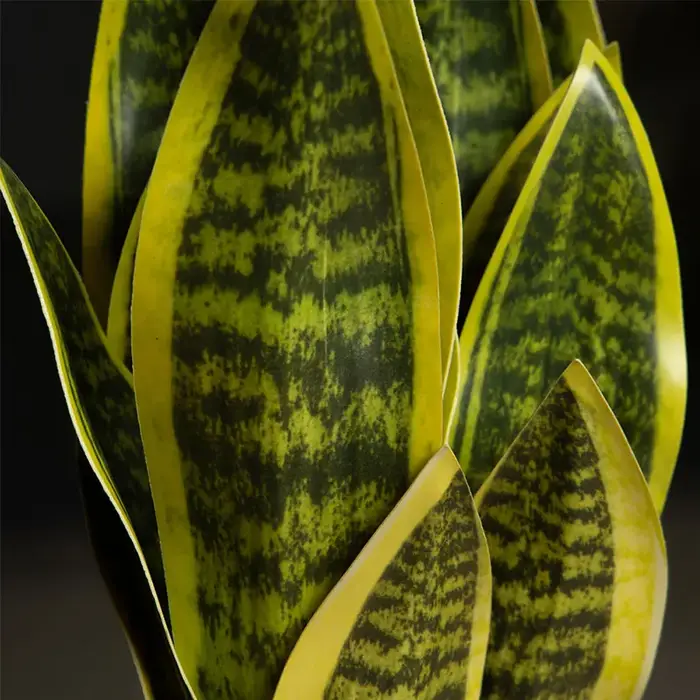 Plantes serpent artificielles Sansevieria 32/37cm