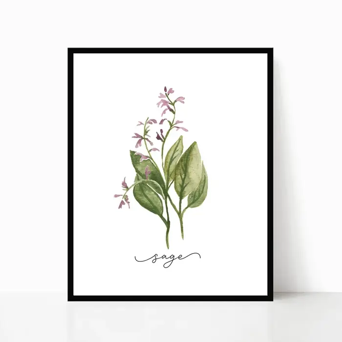 Affiches murales sur toile de Collection d'herbes