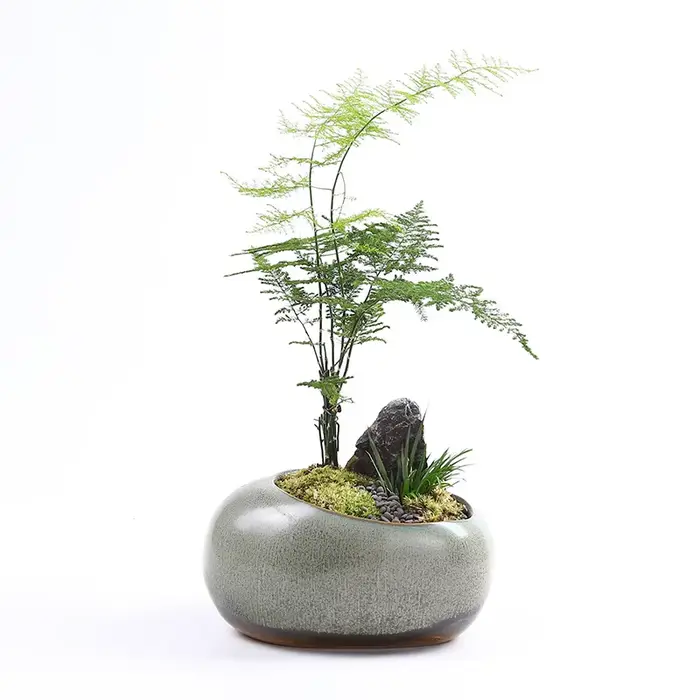 Pot de fleur en céramique rétro