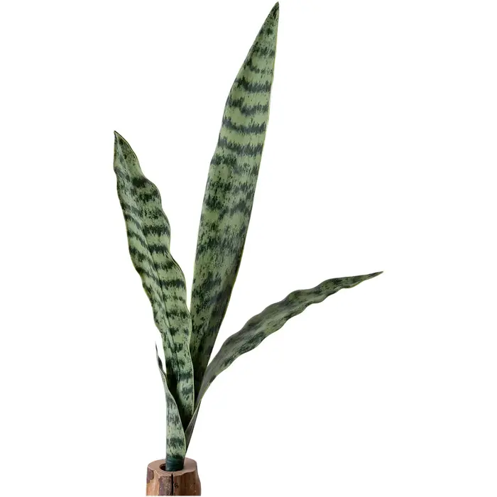 Plante Serpent en PVC pour Décoration Intérieure