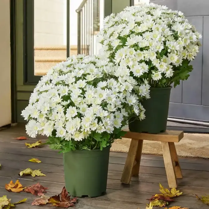 Fausses fleurs réalistes