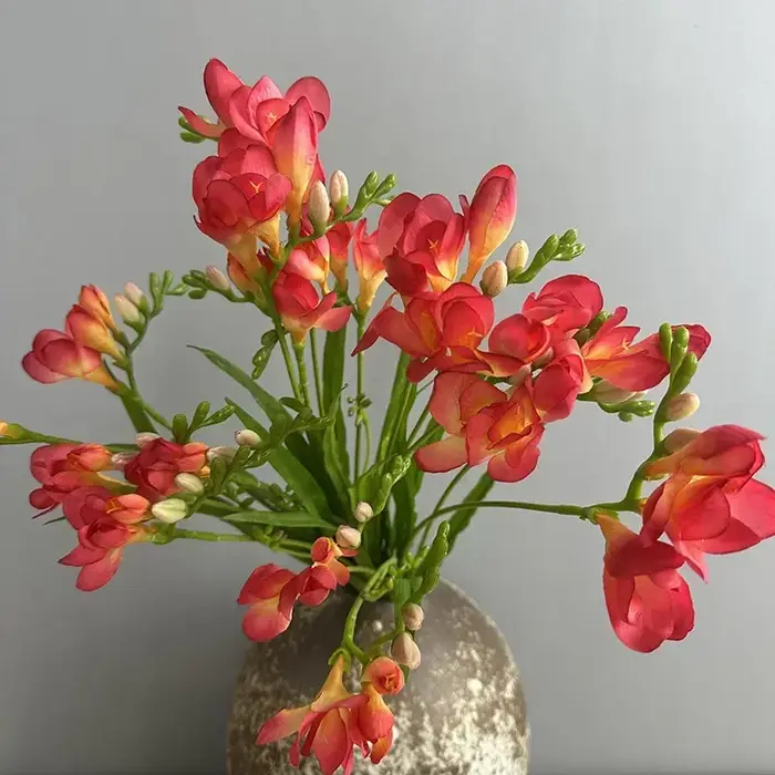 Simulation de Branches de Freesia