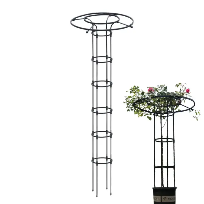 Treillis de jardin en forme de parapluie pour plantes grimpantes