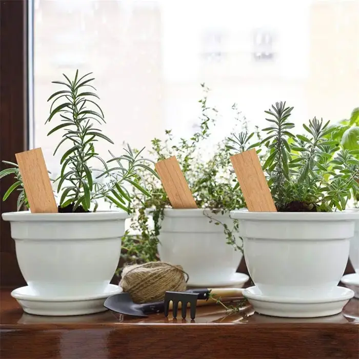 Étiquettes de plantes en bambou