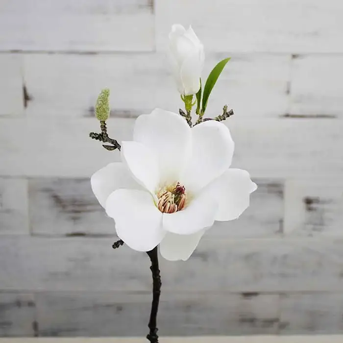 Fleur de magnolia artificielle