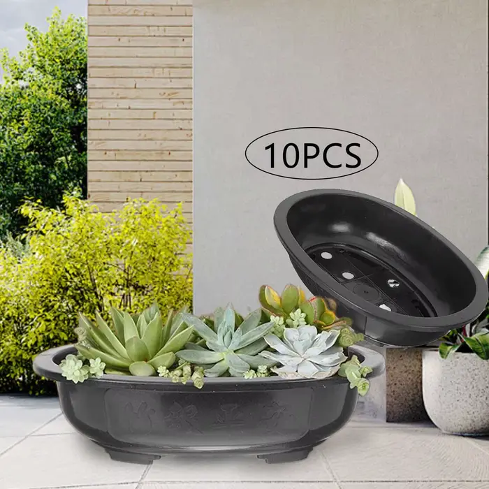 Pots de formation de bonsaï pour plantes