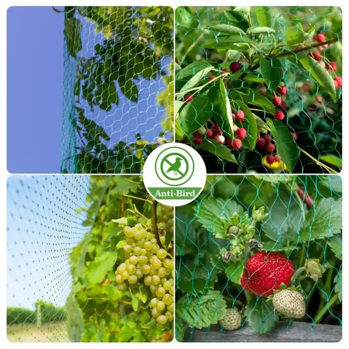 Filet de jardin protège les plantes avec des filets de protection