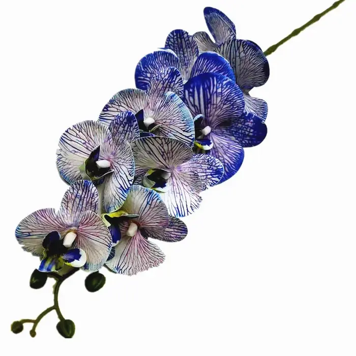 Fleur d'orchidée papillon en latex, 9 têtes, Phalaenopsis artificiel au toucher réel