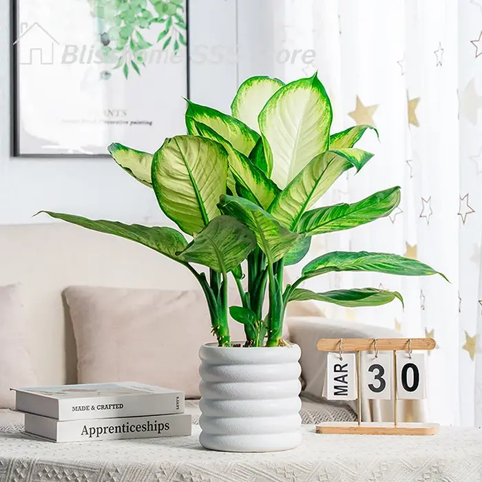 【S】Pots de fleurs d'intérieur polyvalents pour plantes et légumes, pour bureau et maison, haute qual