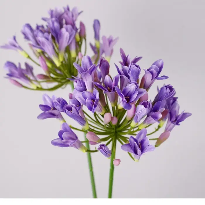 6 pièces de fleurs artificielles en soie bleues Agapanthus