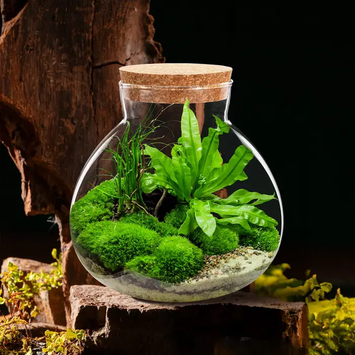 Bouteille écologique 15Cm X 16Cm