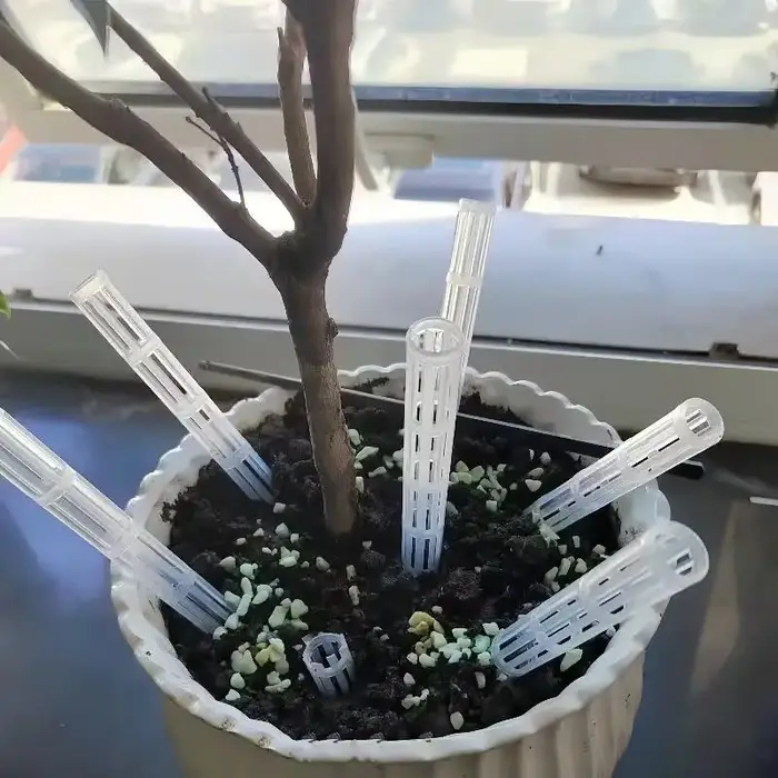 Solution contre l'excès d'eau! Tubes d'aération pour plantes