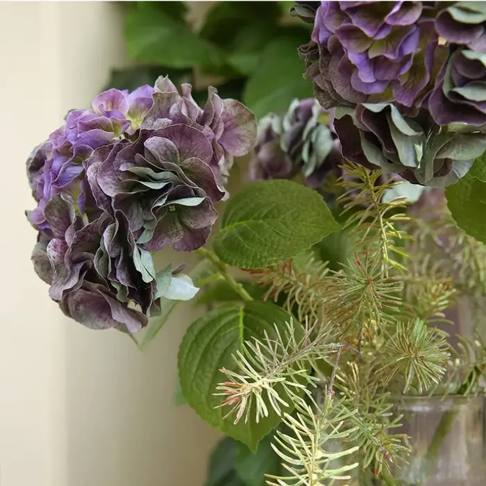 Grandes fleurs d'hortensia hydratantes au toucher