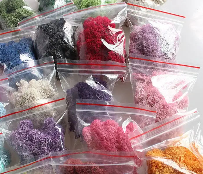 Décoration florale colorée DIY pour la maison