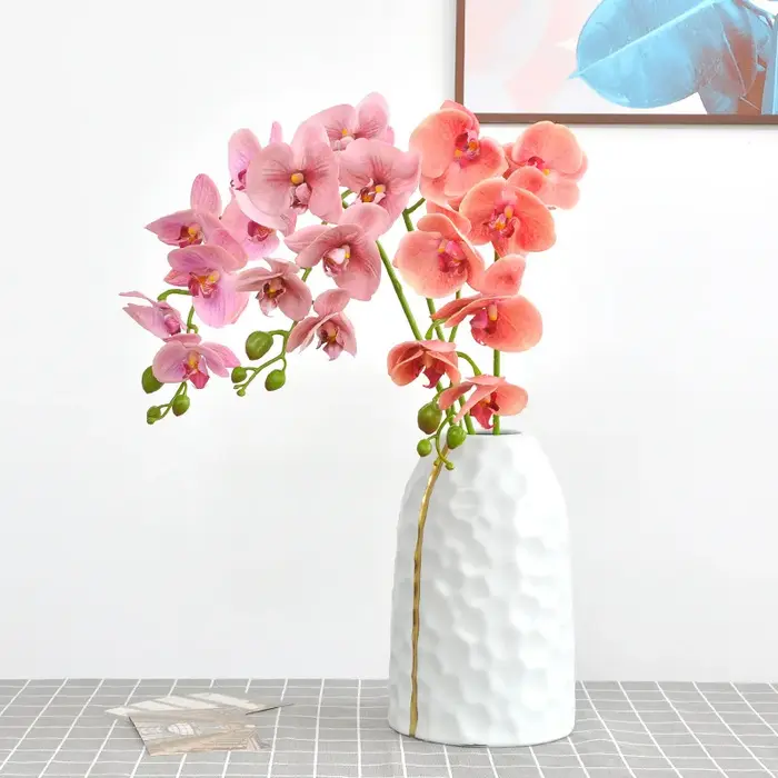 Branche d'orchidée hydratante