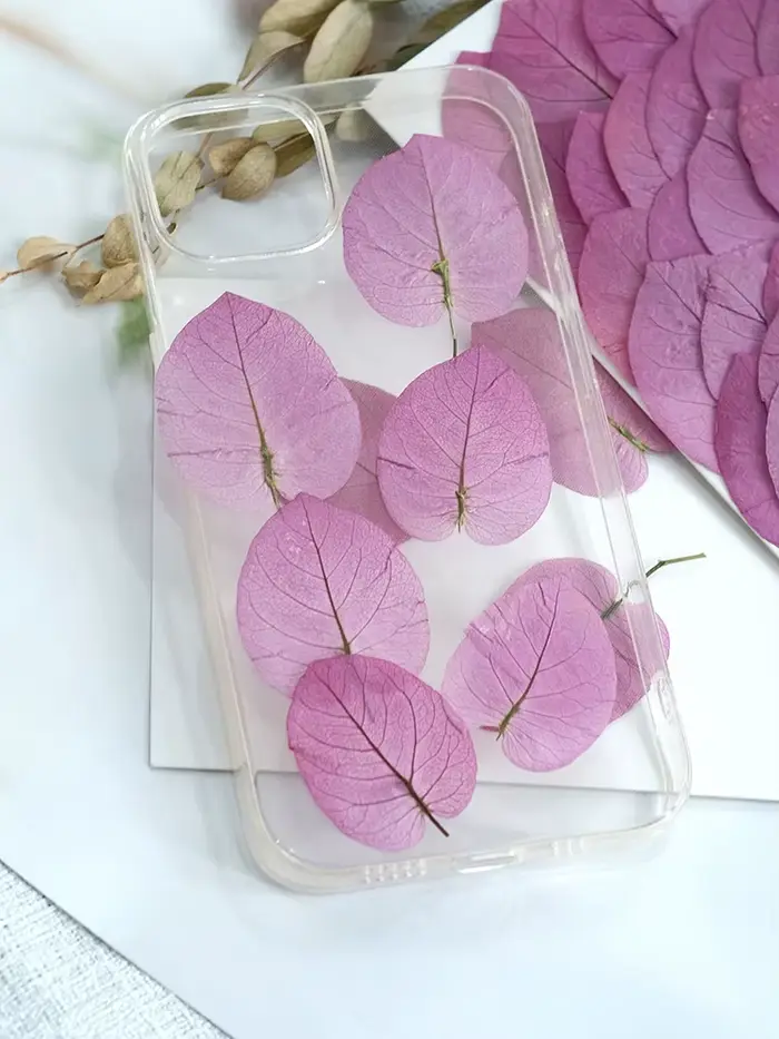 3-5cm/24 pièces, Fleurs de Bougainvillea Glabra pressées naturelles