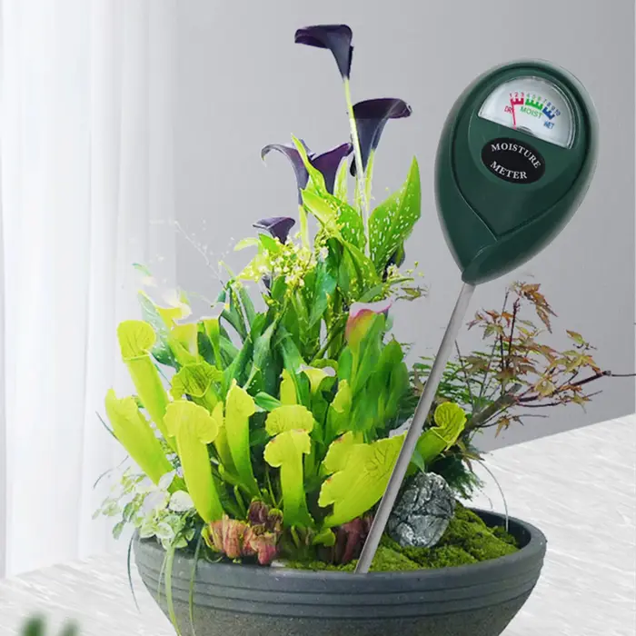 Moniteur d'eau pour plantes