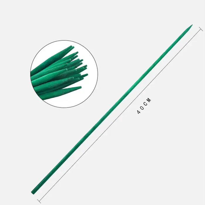 Bâtons de support pour plantes vertes